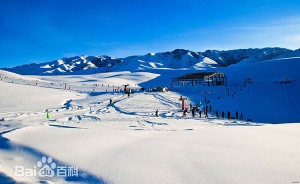 可以玩的冬季！T先生滑雪胜地探寻记