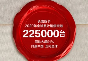 年销超11万辆 2020风骏续写传奇